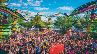 What to Wear to Lightning in a Bottle Festival 2023, Buena Vista Lake, Bakersfield, California