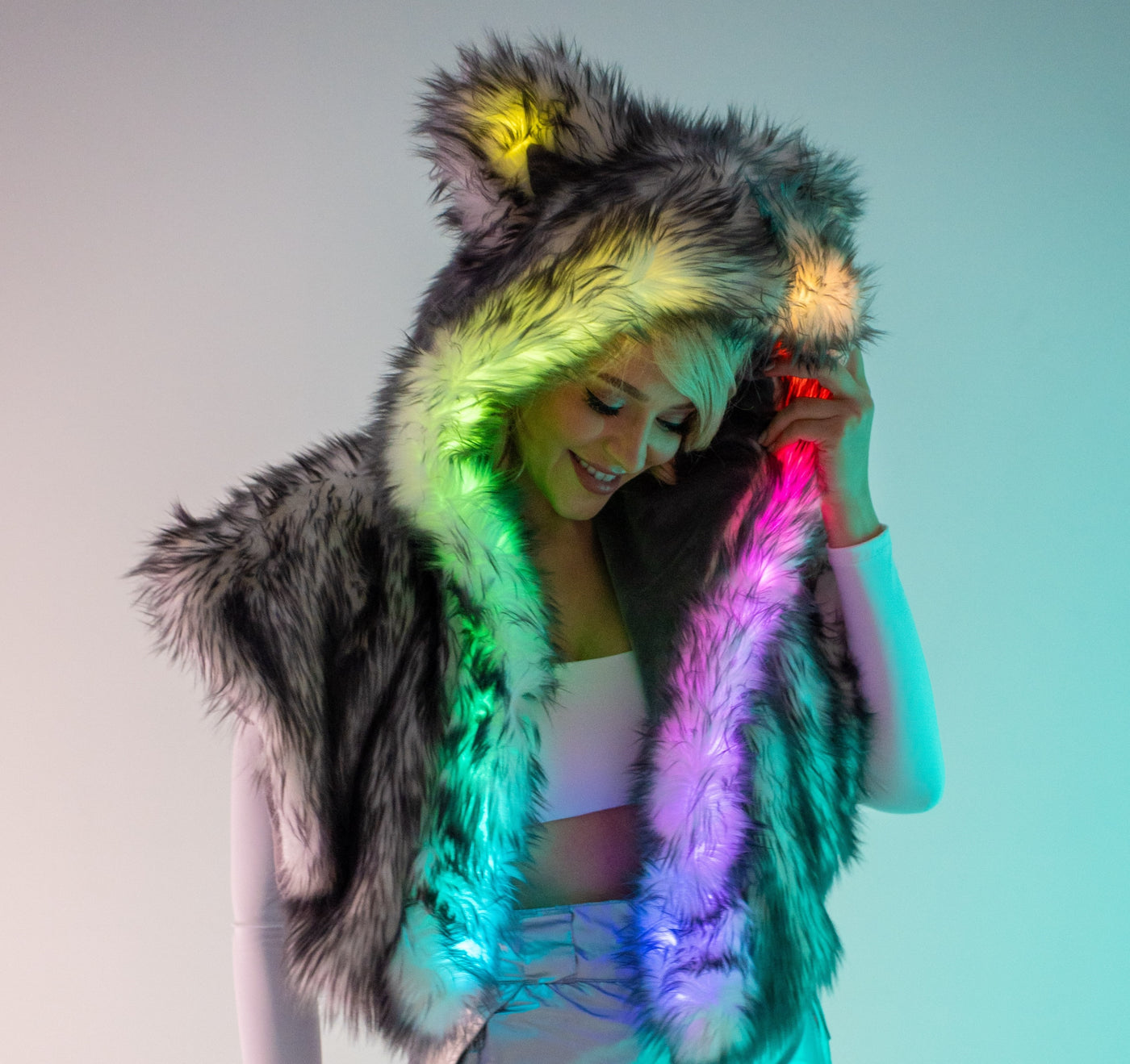 LED Hoods