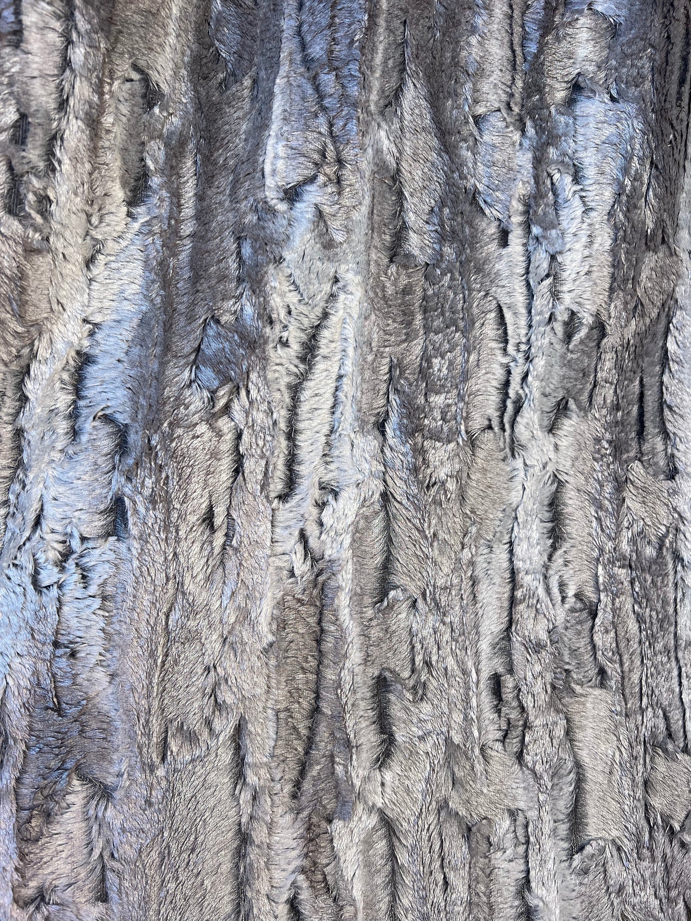 Metallic Silver Bark