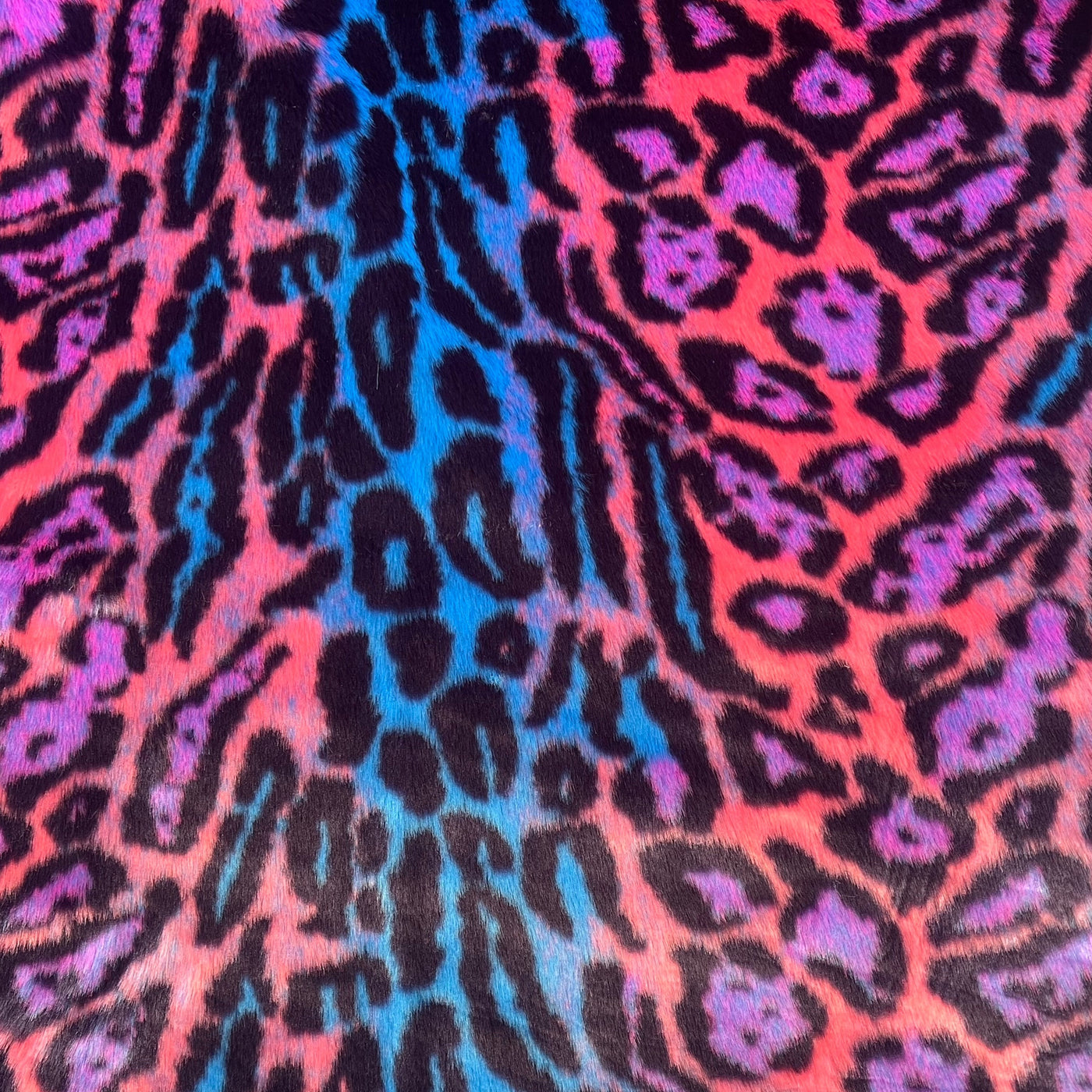 Neon Cheetah - Pink Blue