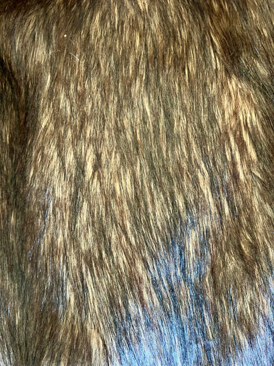 "New" Mountain Coyote