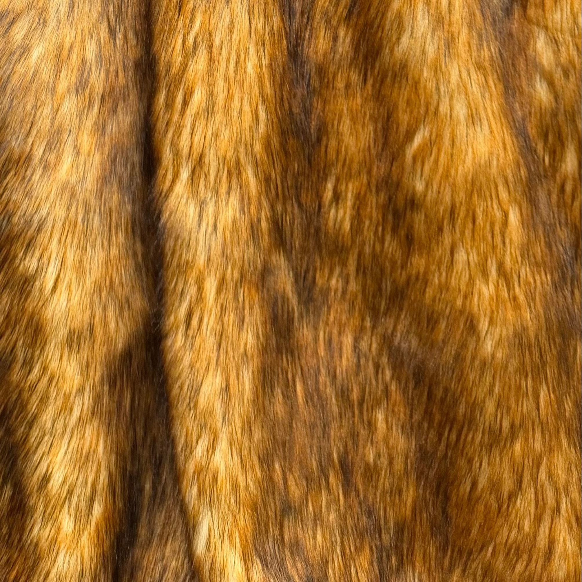 Red Fox – Furrocious Furr