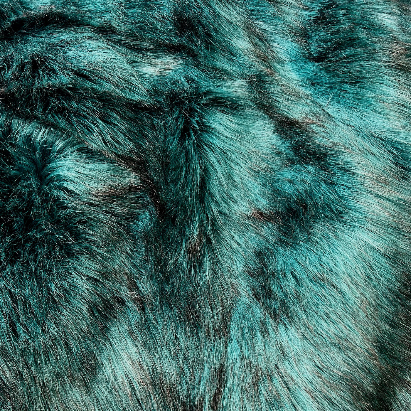 Teal Ostrich