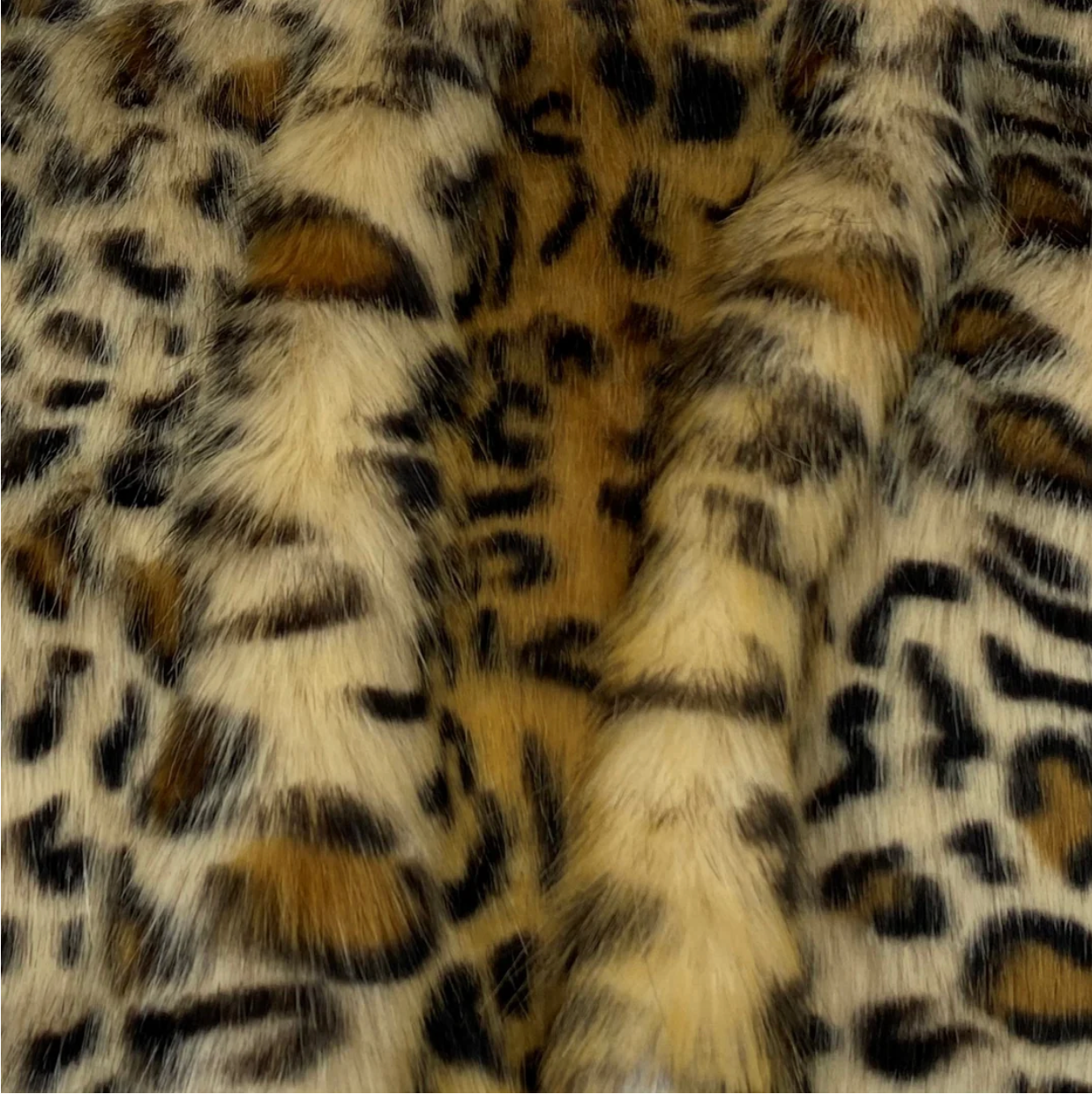 Blonde Leopard