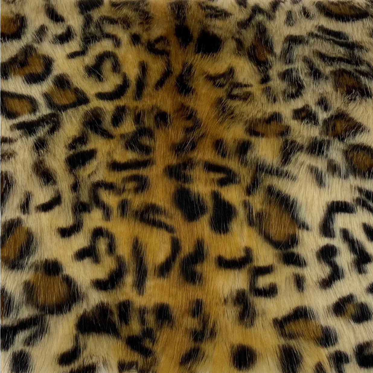 Blonde Leopard