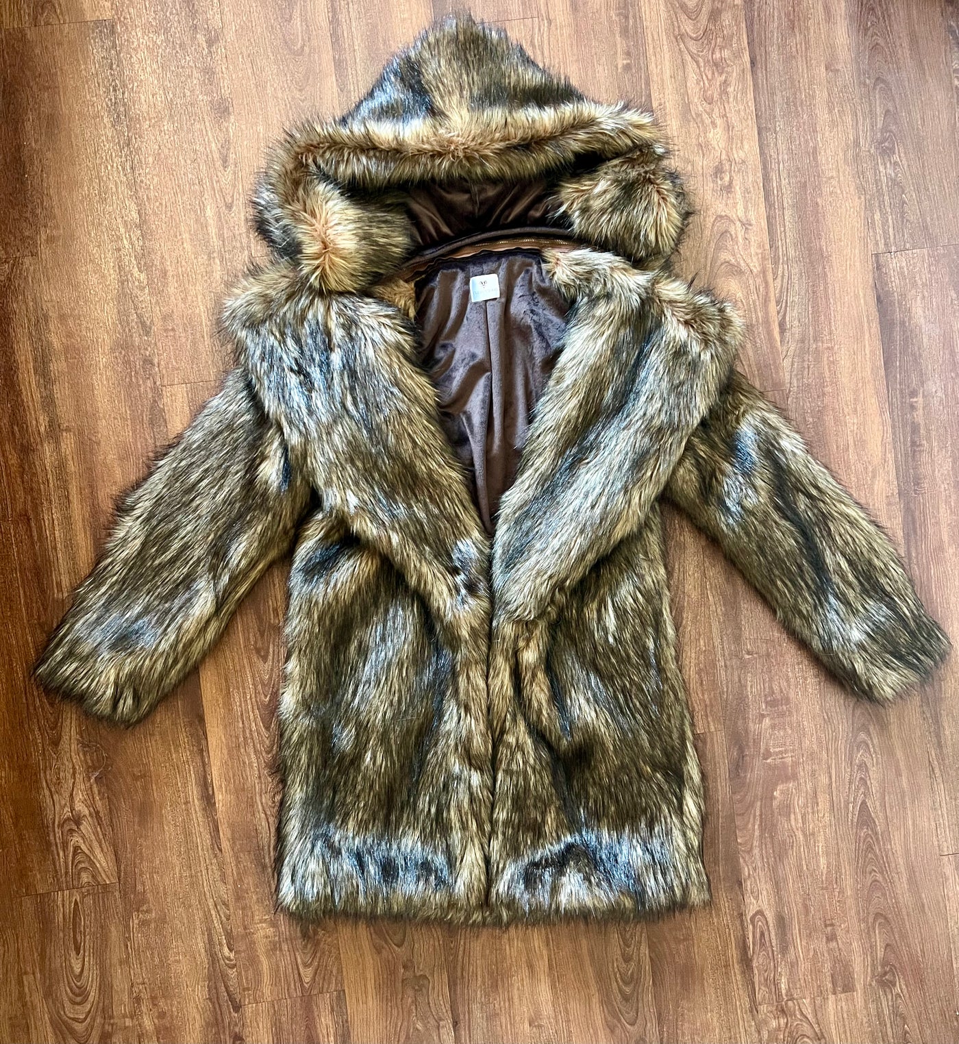 "New" Mountain Coyote