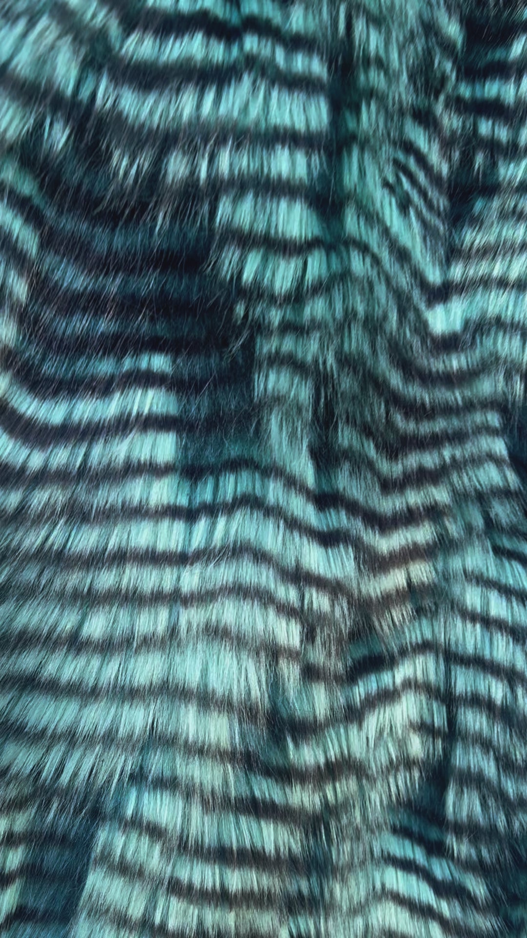 Teal Feather