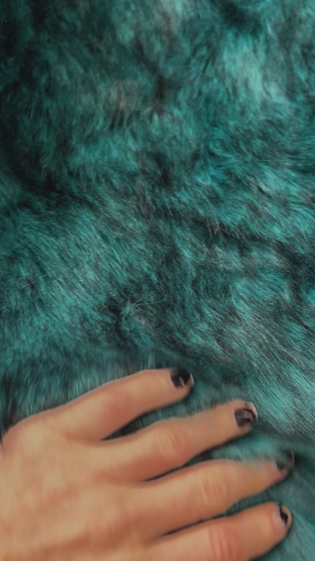 Teal Ostrich