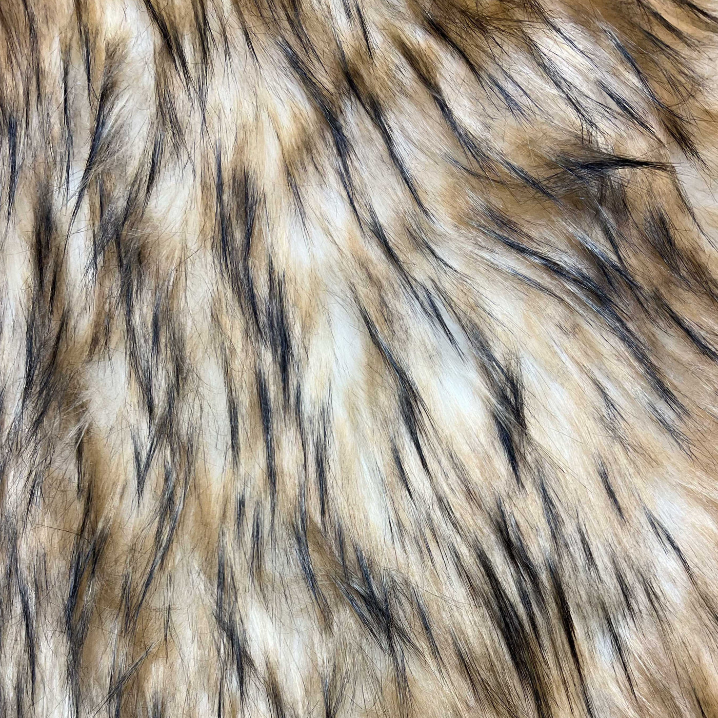 Golden Snow Wolf