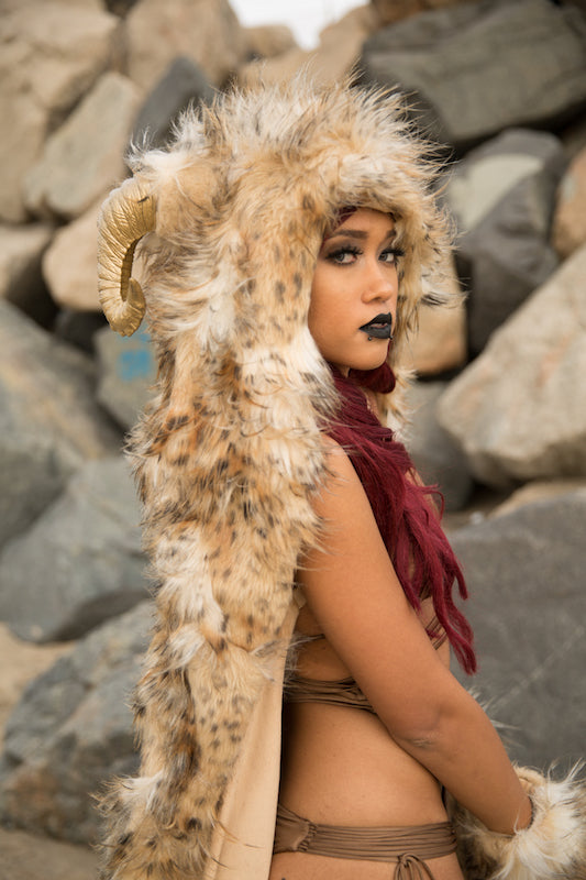 Photo property of and copyrighted by Mo Summers