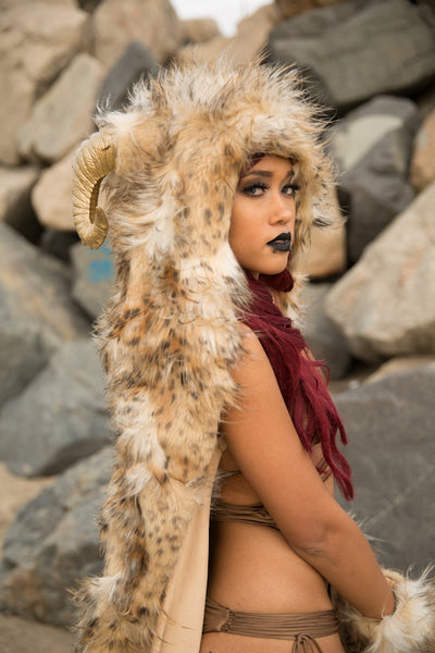 Photo property of and copyrighted by Mo Summers